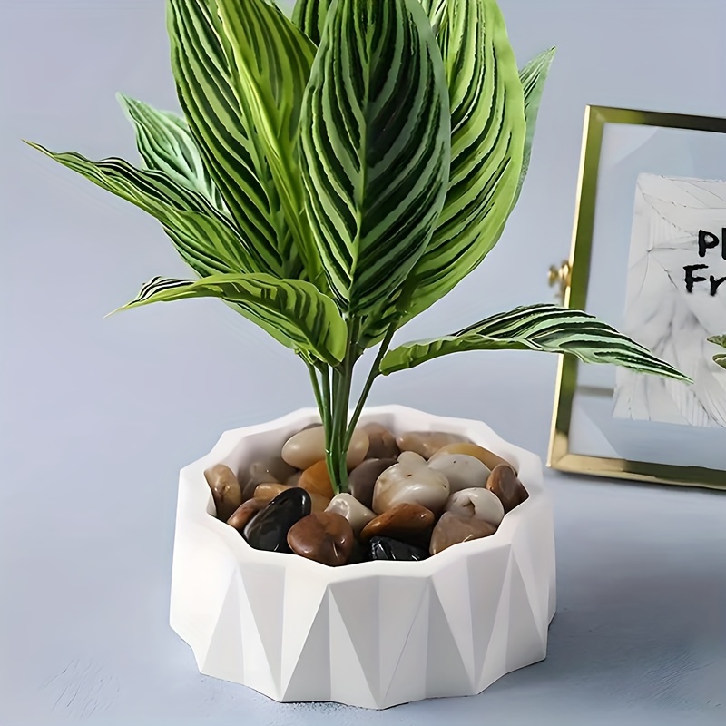 1/2pcs Large Round Irregular S - Potsticker Mold review and price