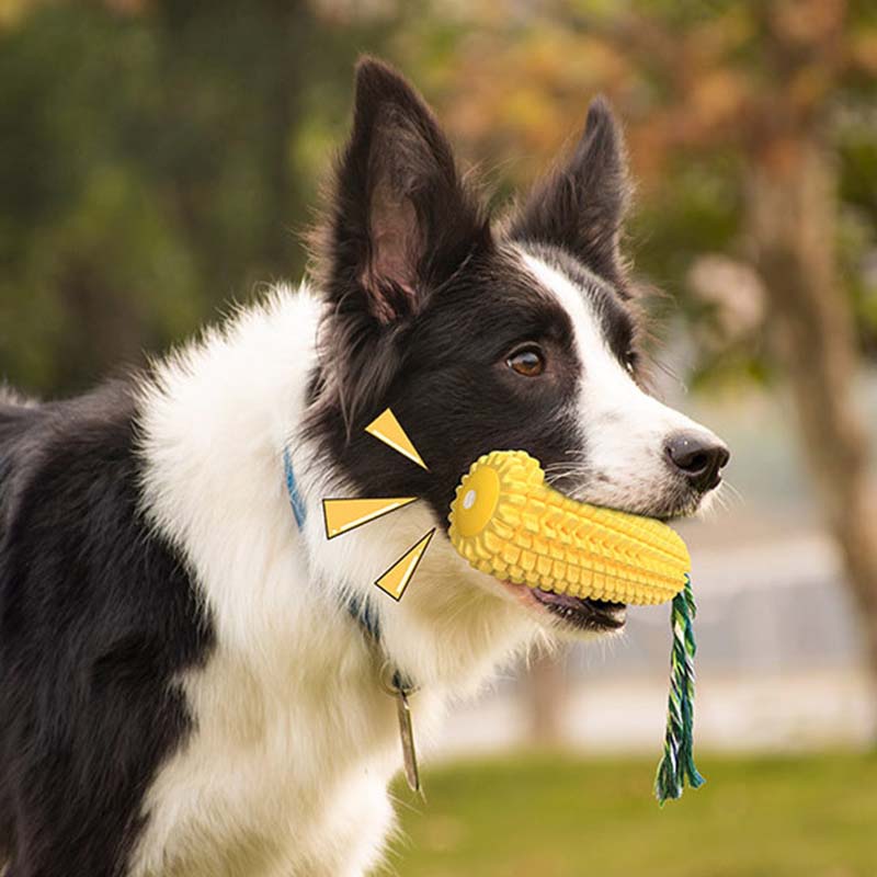 Corn Shape Squeaky Dog Toy Dur - Corn Dog Stick review and price